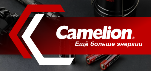 О компании и продукции Camelion -
                                рис 1